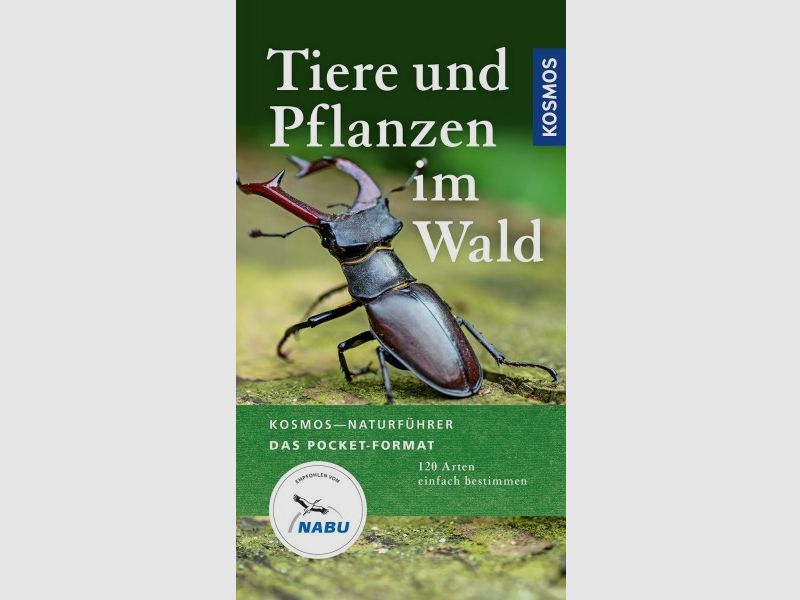 TIERE UND PFLANZEN IM WALD - 120 ARTEN