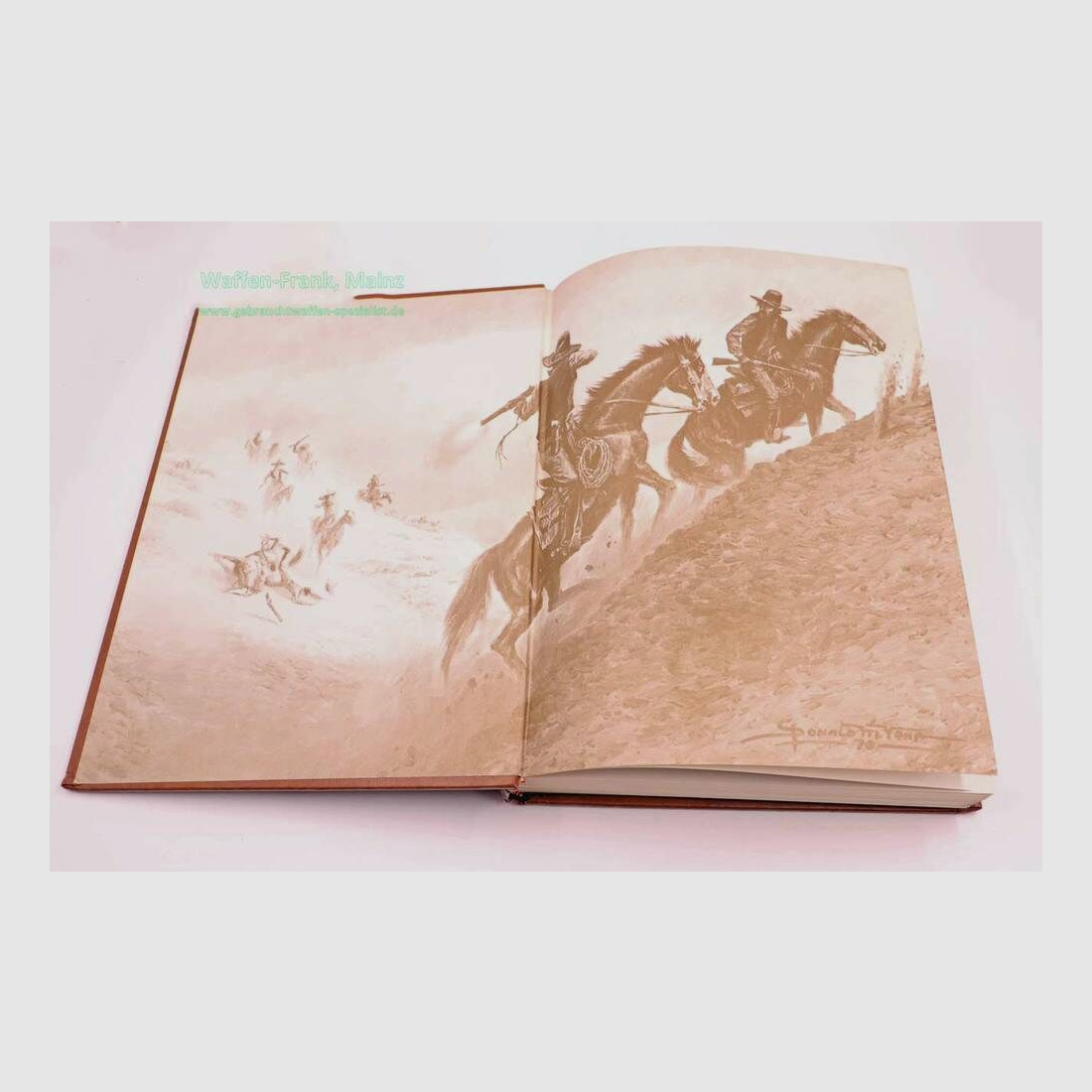 Art and Reference House, Texas The Winchester Book