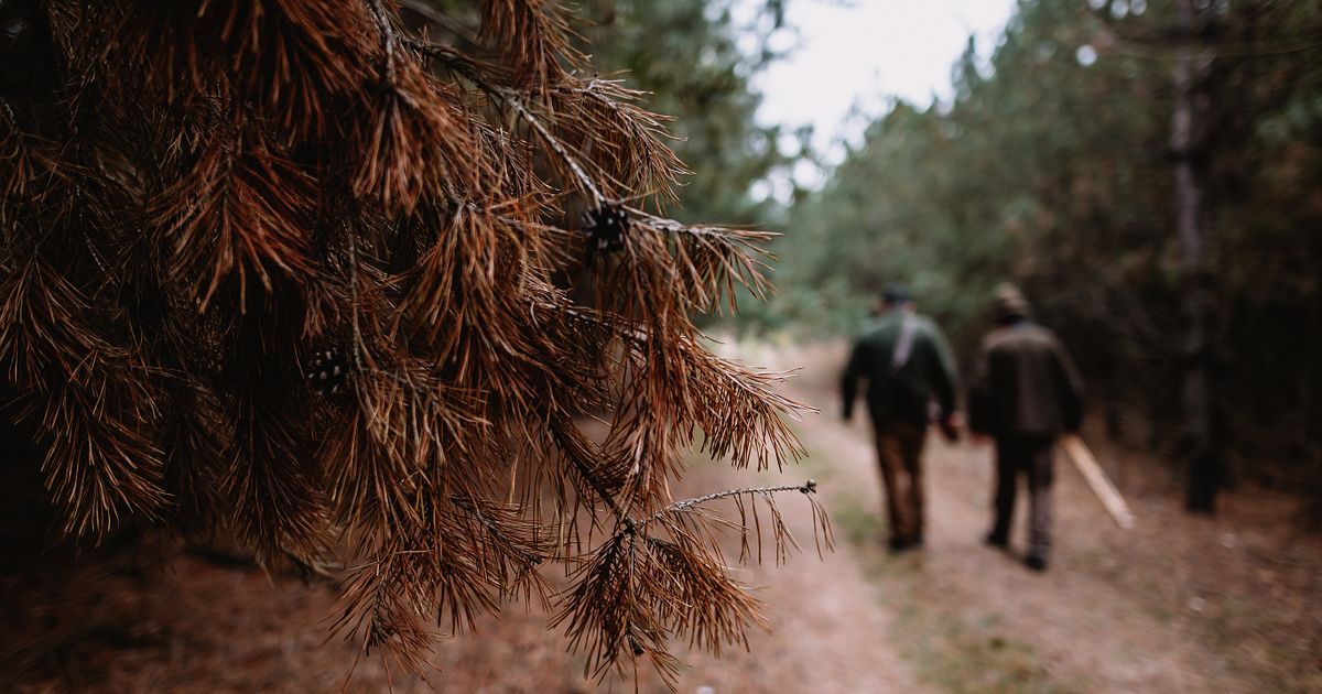 10 Miniatur Kugellager F3-8M - Präzisionslager 3x8x3,5mm Metall