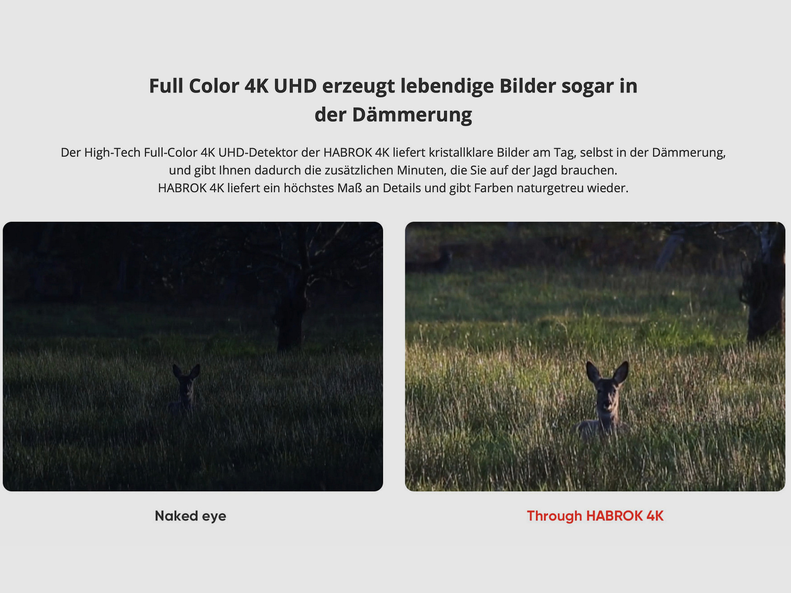 Hikmicro Binocular Habrok 4K HE25LN 5.5-22x60 Wärmebild/Nachtsicht/Digitalkamera 940Nm 1920 x 1080