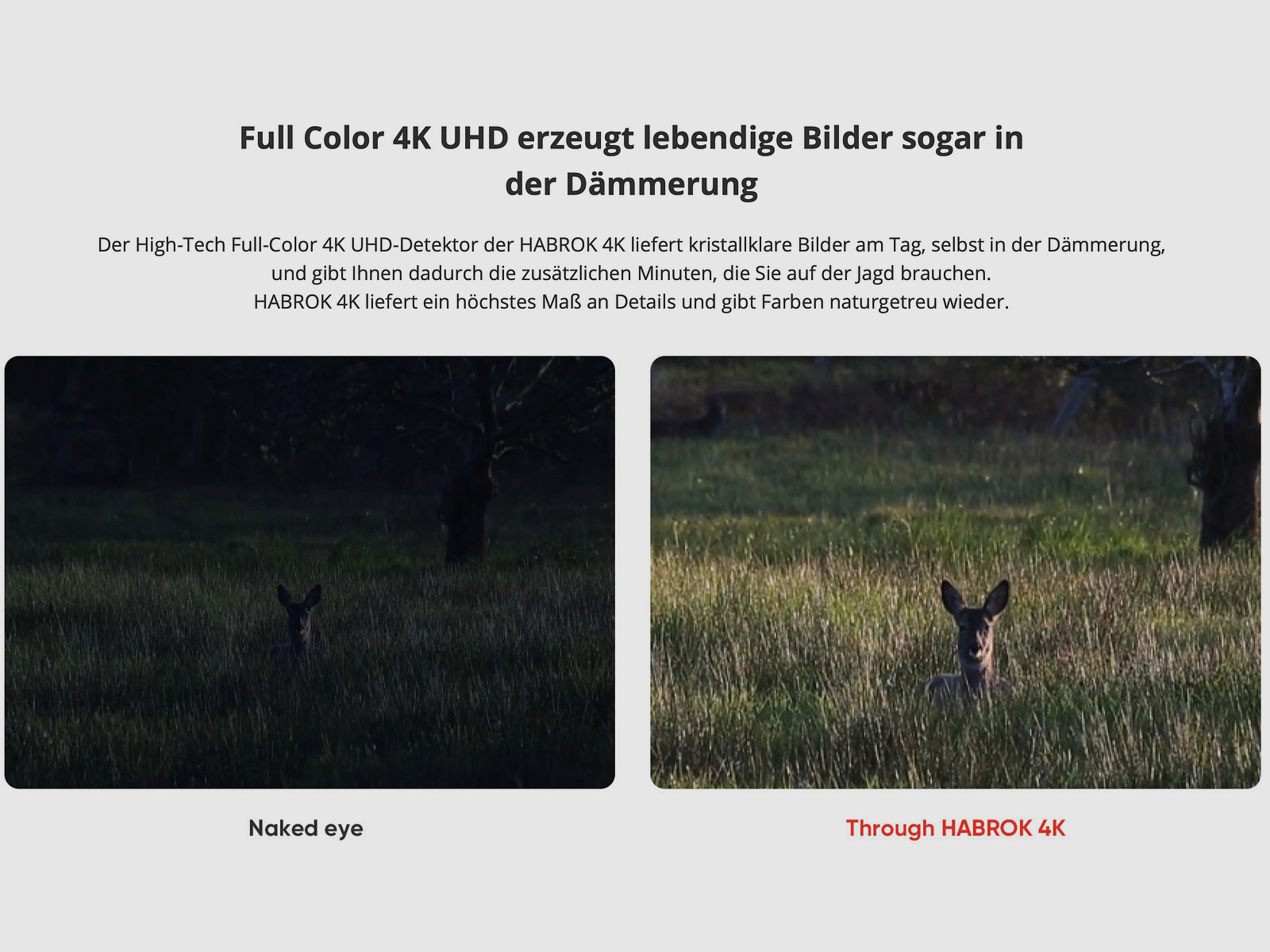 Hikmicro Binocular Habrok 4K HE25LN 5.5-22x60 Wärmebild/Nachtsicht/Digitalkamera 940Nm 1920 x 1080