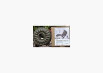 Bâton Lick Wild pour Chevaux et Poneys Menthe et Eucalyptus 1,6 kg
