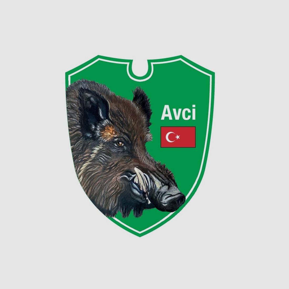 Dual optics car hunting signs wild boar