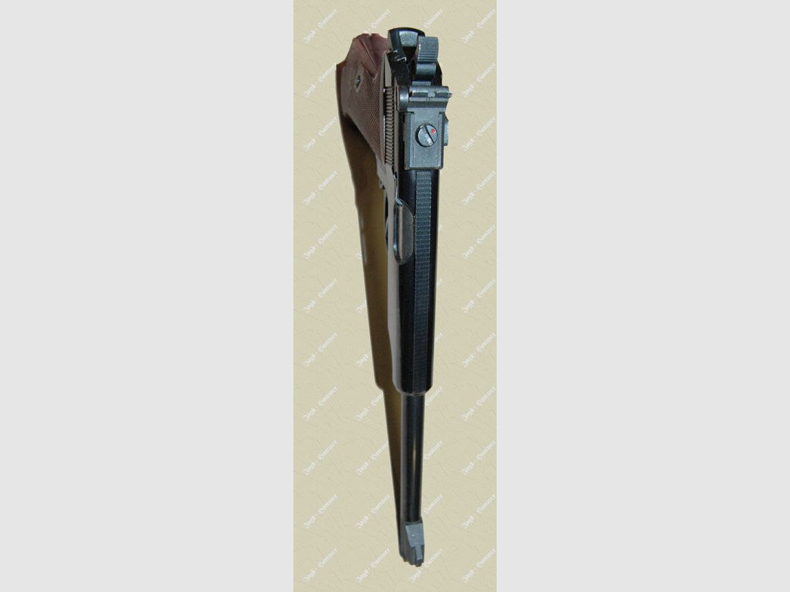 Walther PP-Sport