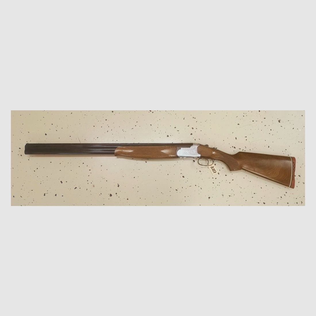 BDF Ibargun  Lanber 