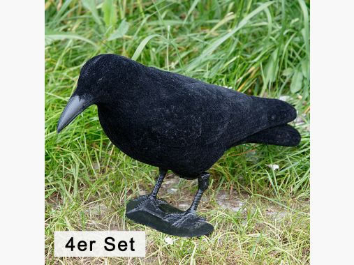 il Lago Passion Rabenkrähe Vollschale(beflockt, 4er Set) |