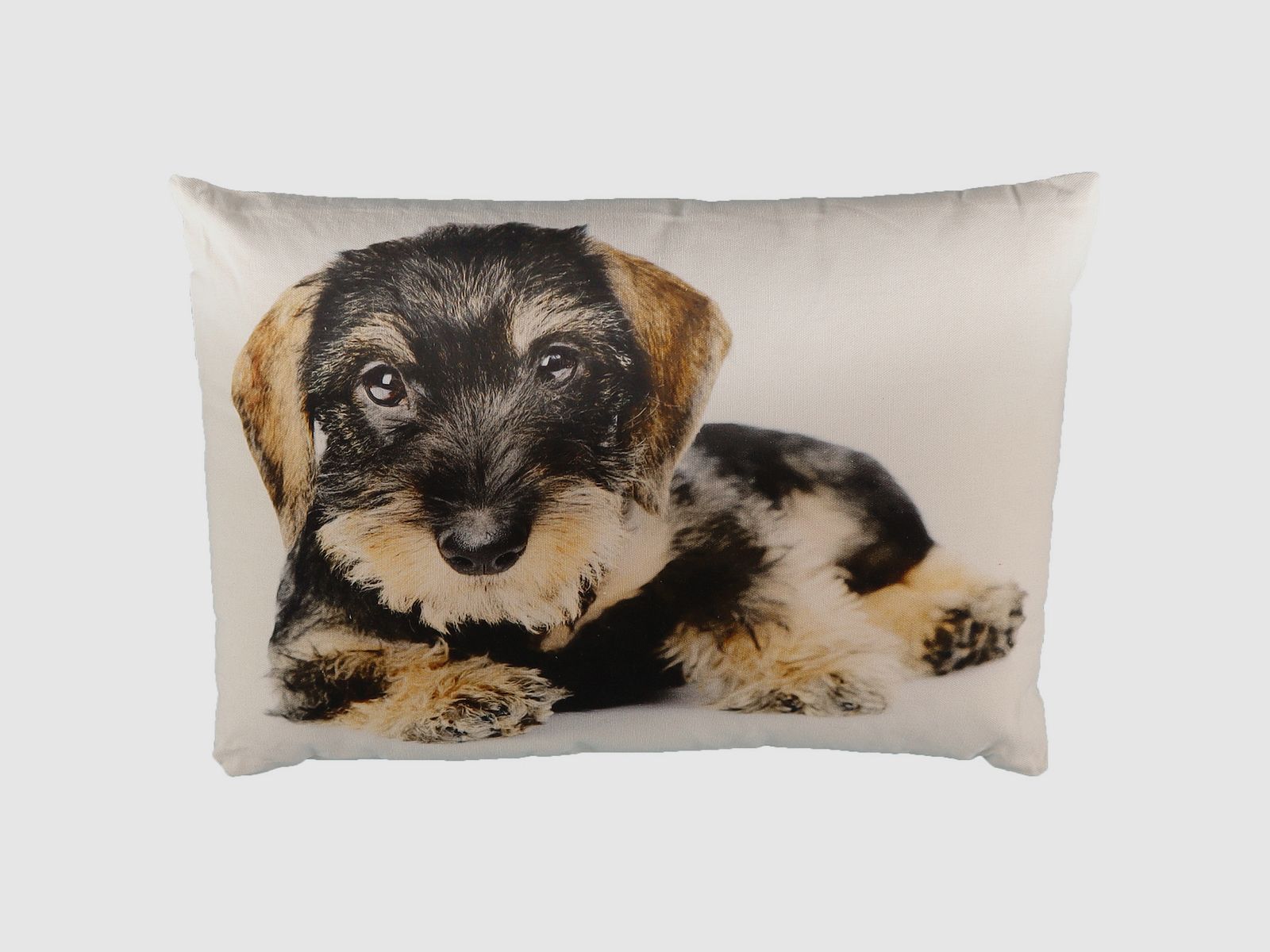 Kissen Dackel 50x35 cm