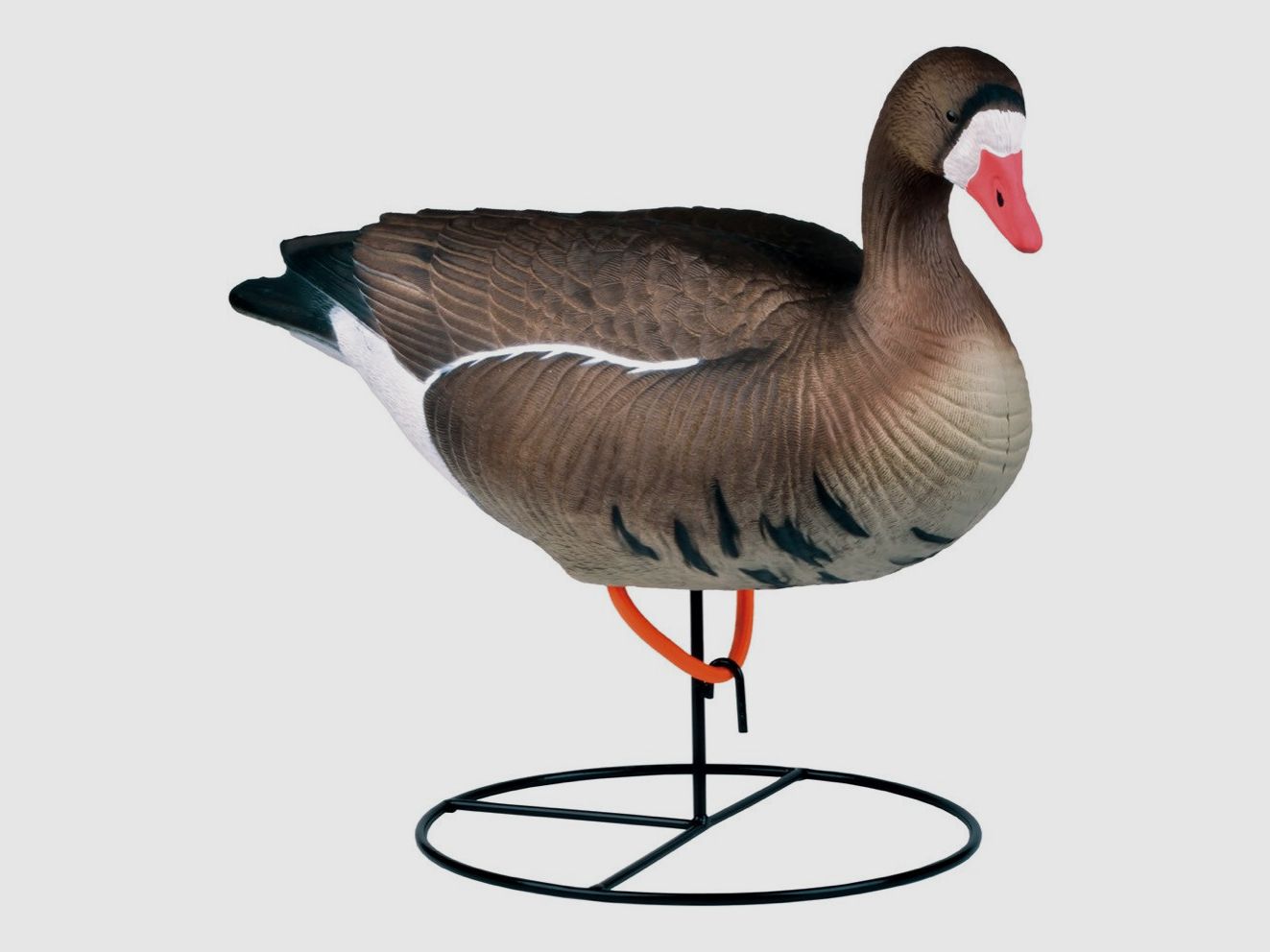 Stehende Form einer lachenden Gans HD Stepland