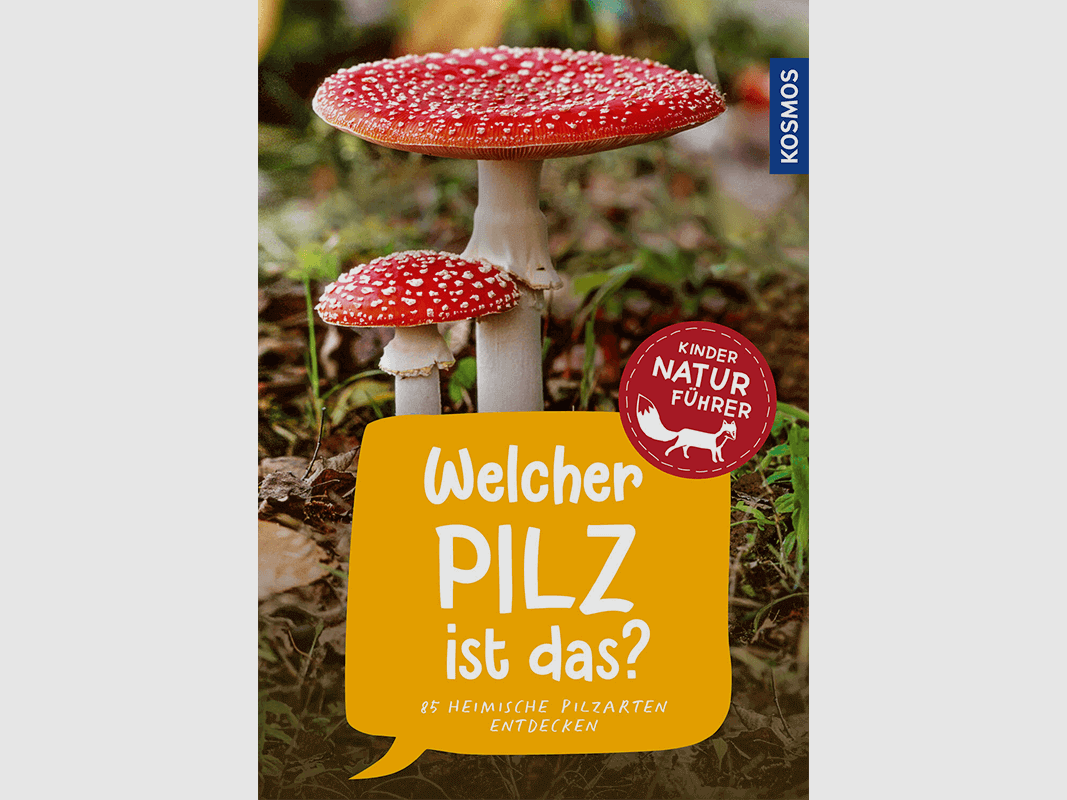 Livre "Guide de la nature pour enfants : Quel champignon est-ce ?"