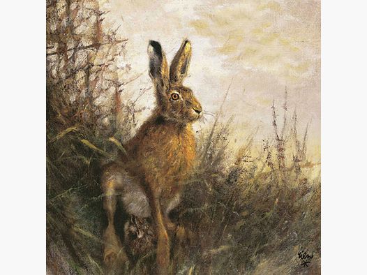 Jagdservietten Hase