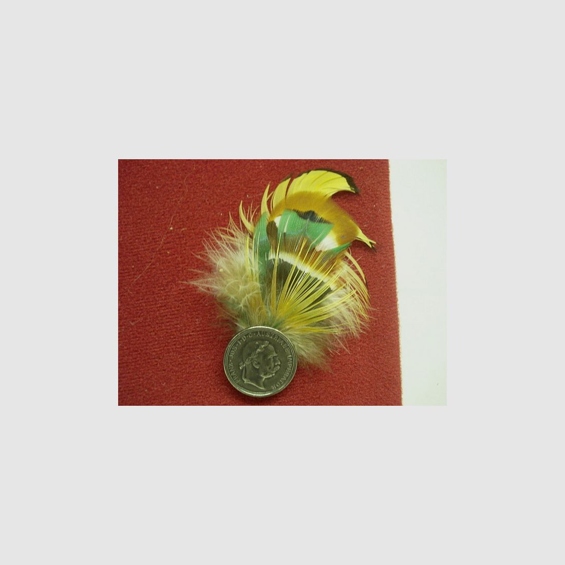 Hutfeder Jagd -