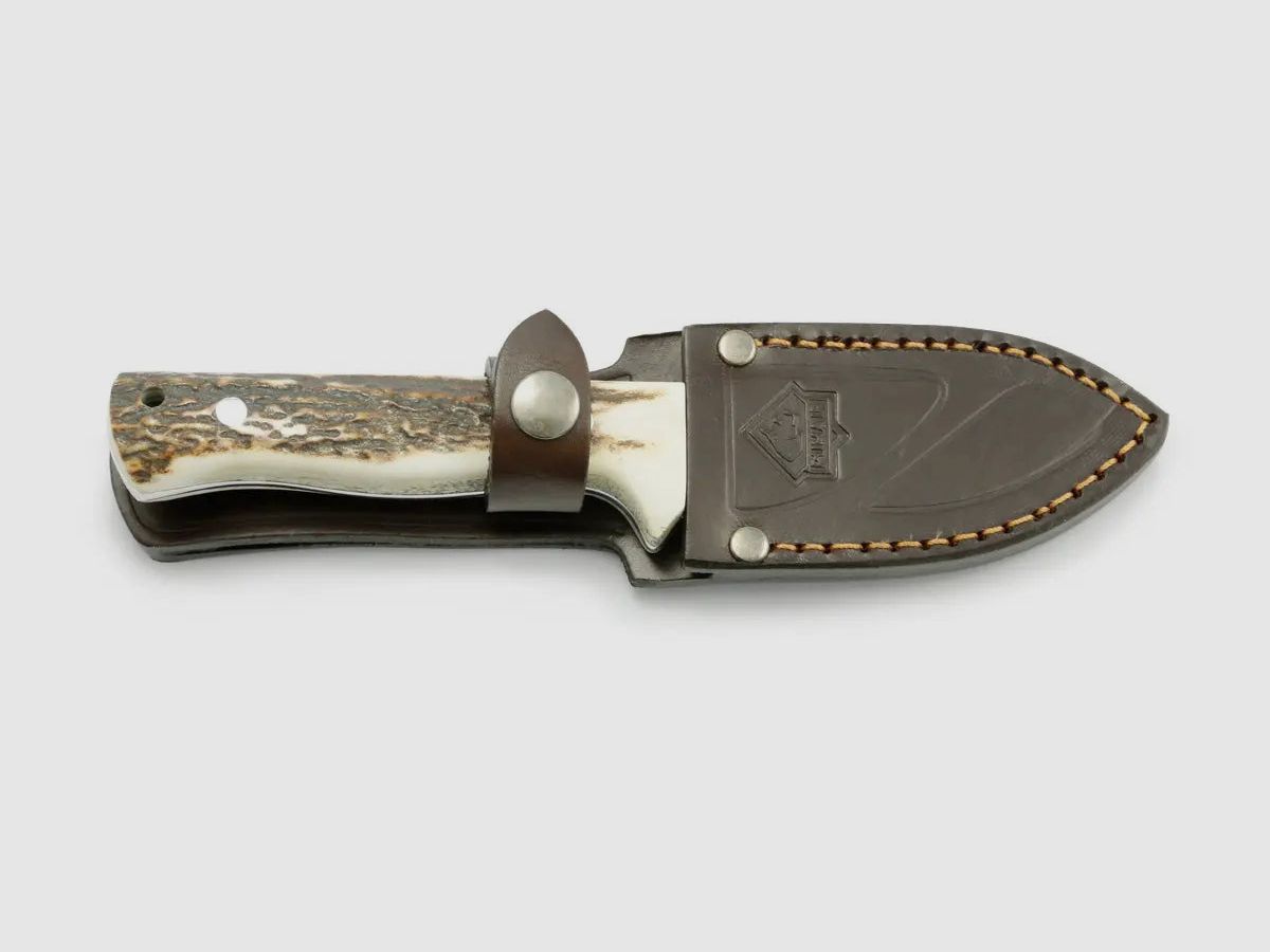 PUMA IP nordic II stag