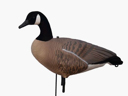 Prodecoys Canadese gans lokkers 12 stuks full body