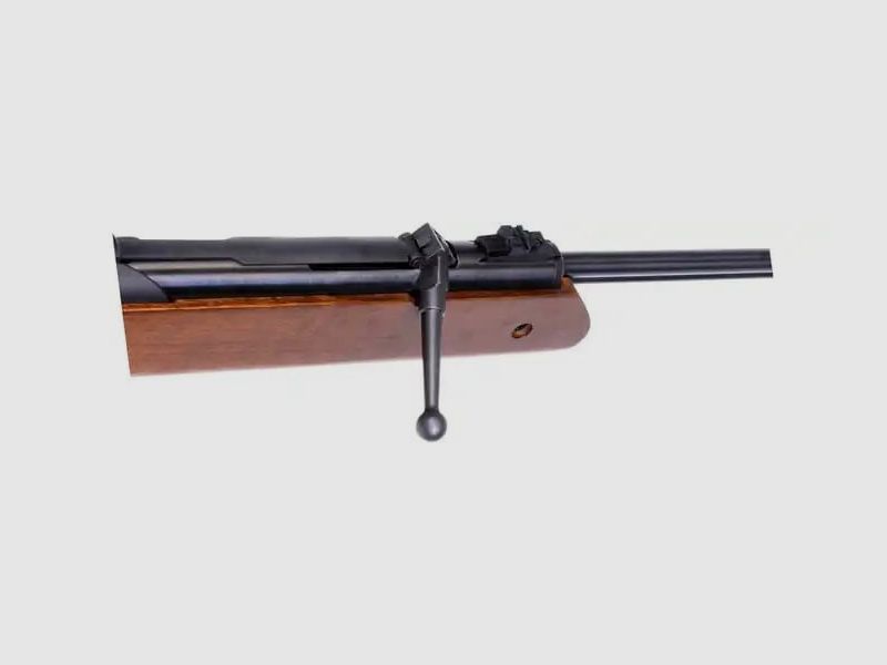 Luftgewehr, Diana Oktoberfest