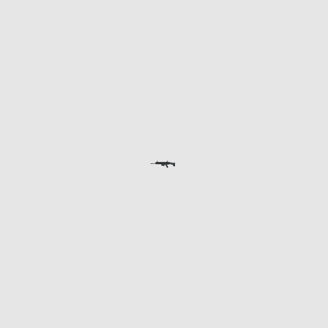 CZ Bren 2 Ms .223 REM 11"