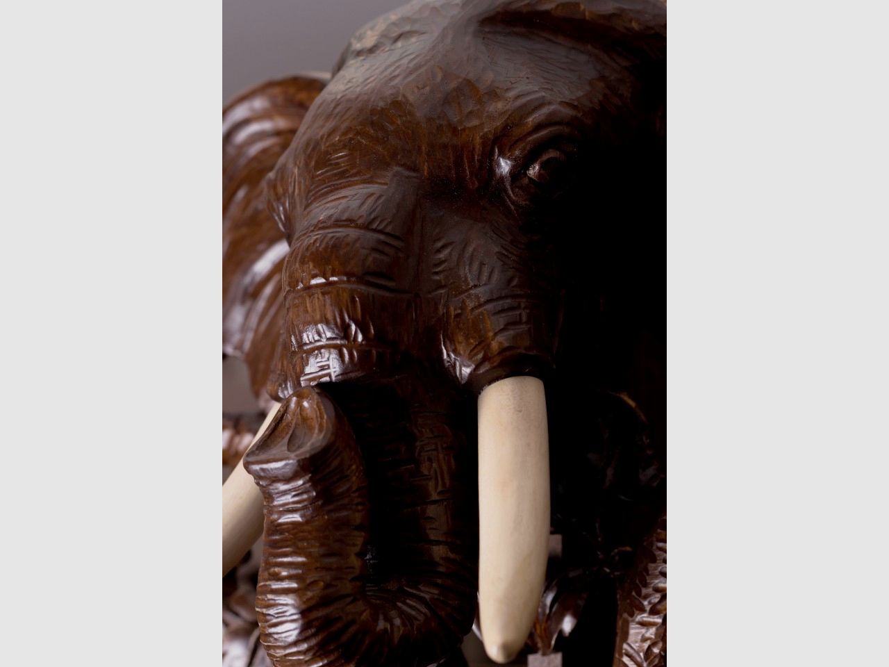 Panorama Elefante, immagine 13 di 15