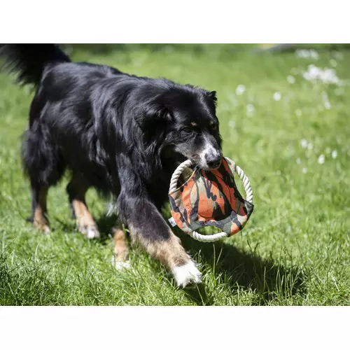 Farm-Land Frisbee pour Chiens Camo, image 2 sur 3