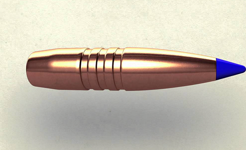  Welche Bleifreie Munition ist die beste?