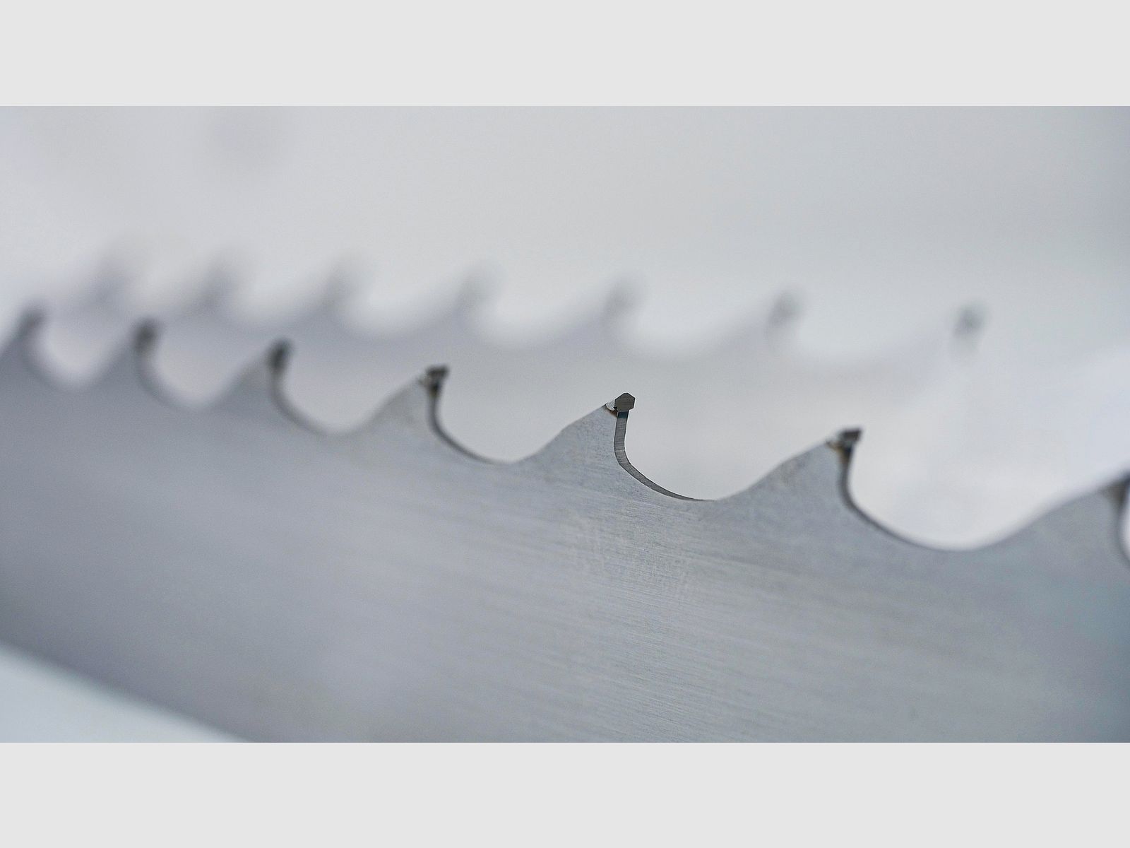 Wintersteiger Bandsgeblatt X-Run