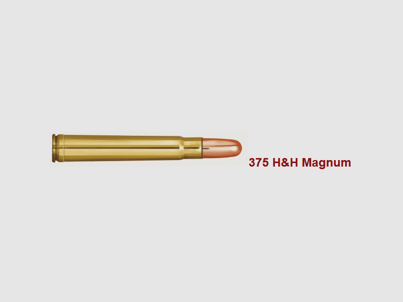 PRVI/PPU .375 H&H Magnum FMJ 300 gr. - 20 Stk.