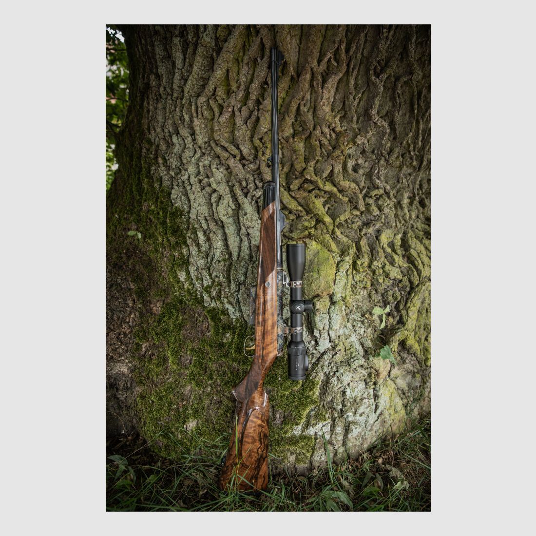 Sauer & Sohn Custom by Mohring Jagdwaffen Sauer 80 Custom Luxus