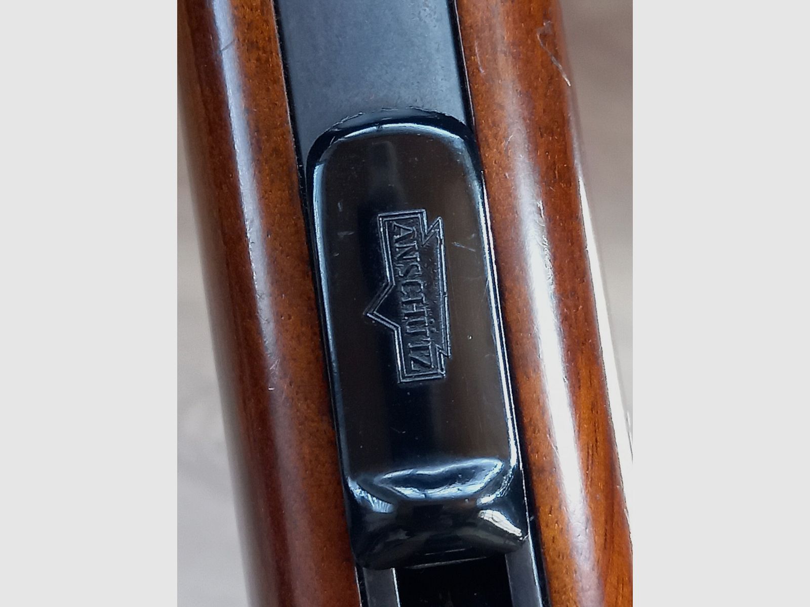 Anschütz 1516 in .22 WMR