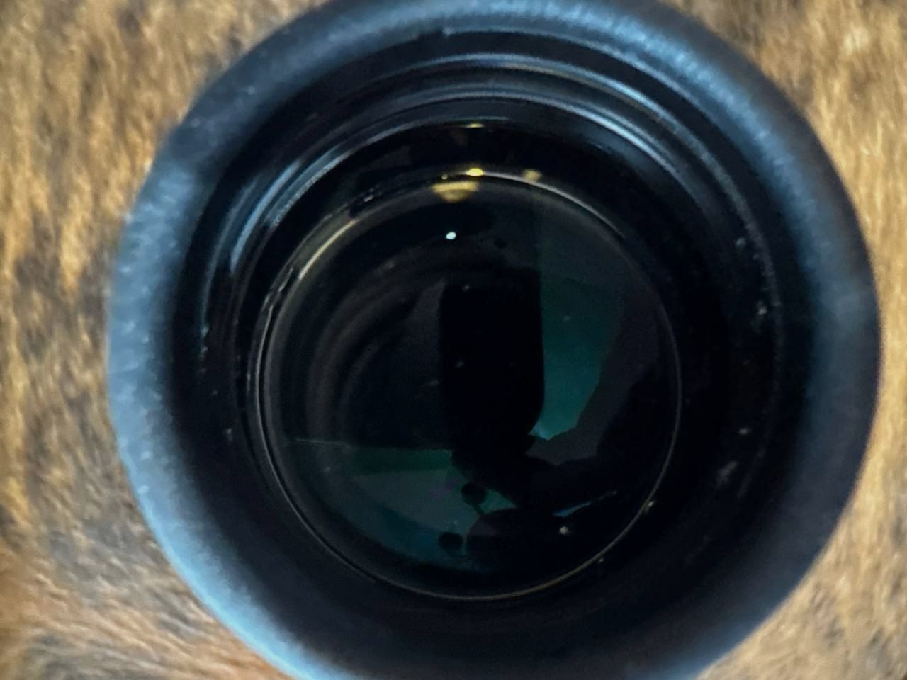 Swarovski Z6i 2.5-15x56P HD Zielfernrohr, Absehen 4a mit Rotpunkt / Leuchtpunkt mit Dendler-Montage oder ohne Dendler-Montage