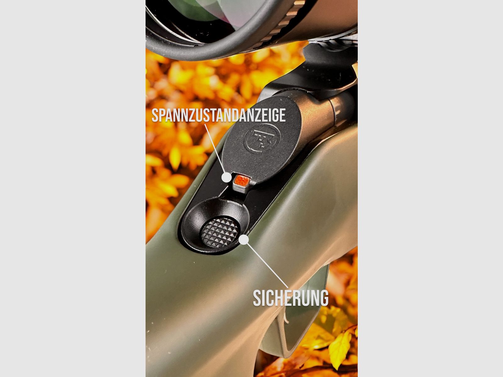 CZ 600 Ergo 8x57 IS im Jungjäger Paket