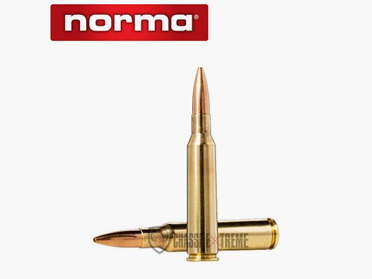 50 cartuchos NORMA Cal 6.5x55-100gr Golden Target