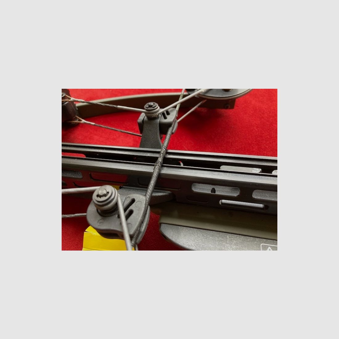 Arco Tenpoint Viper 430 Verde Muschio