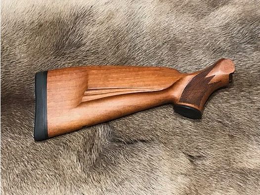 BLASER Hinterschaft für R93 Links