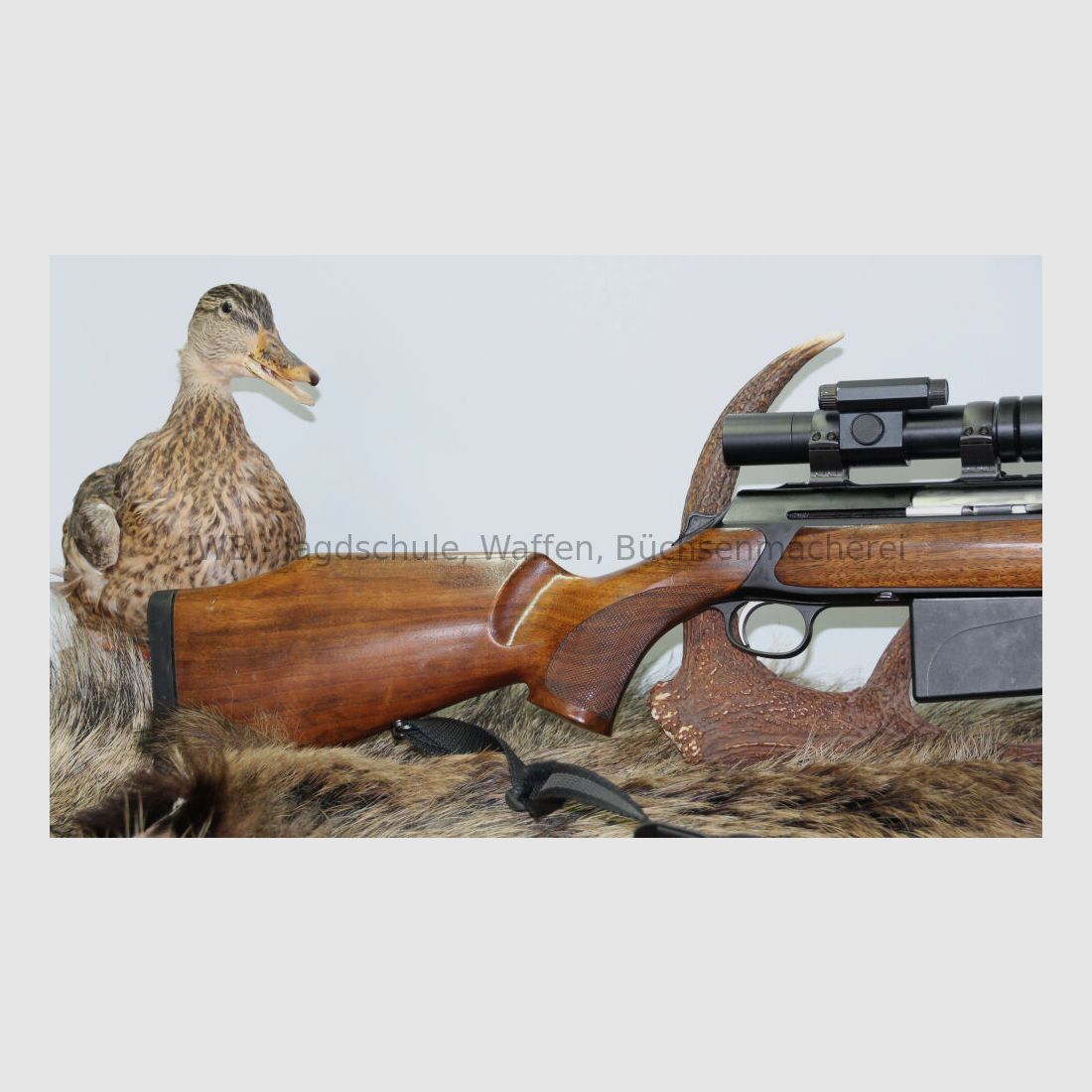 Sauer 303 mit Aimpoint 5000 303 Classic
