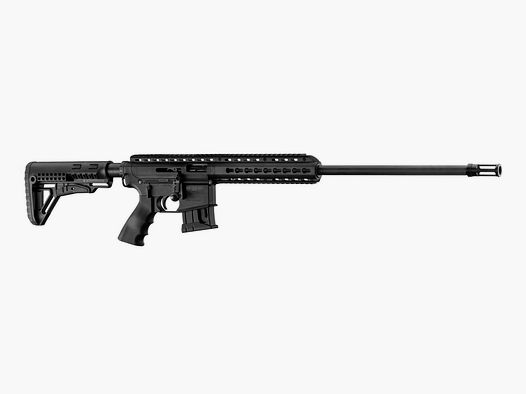 Schmeisser BA15-22 KK carabine de petit calibre style AR15 prix à débattre