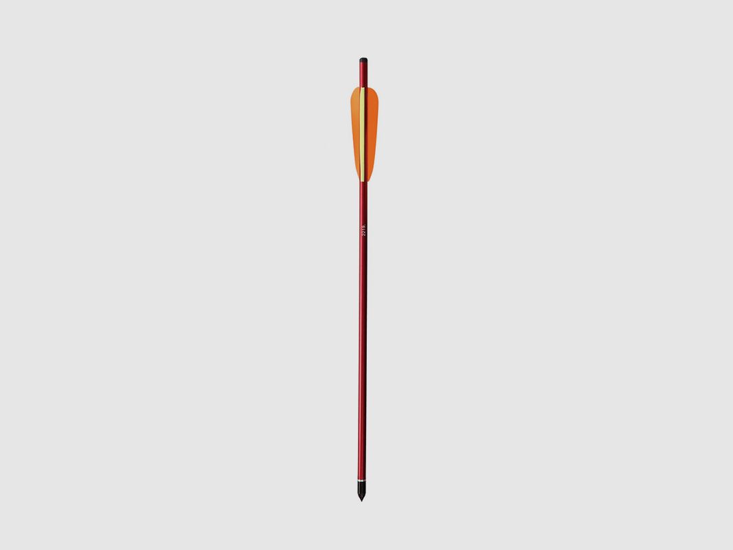 STRZAŁY DO KUSZY SKORPION 20" ALU 6 SZT