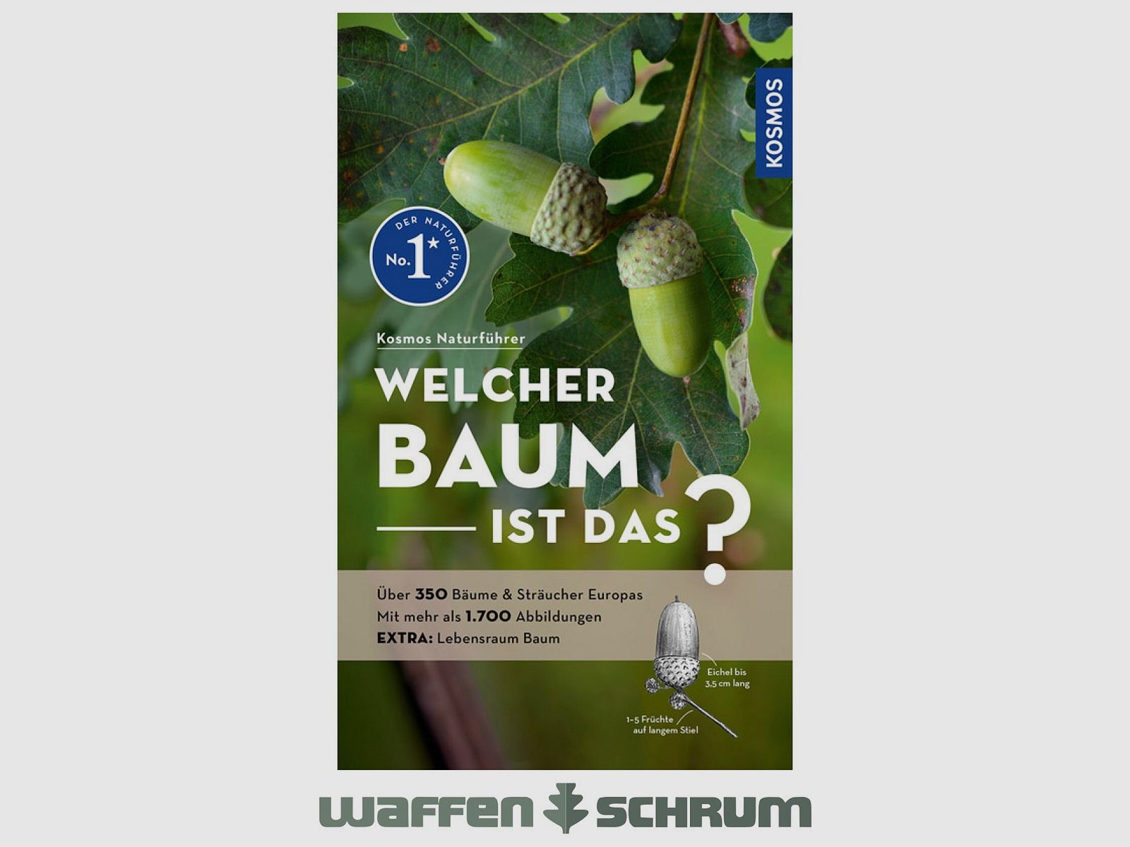 Kosmos Welcher Baum ist das? Spohn