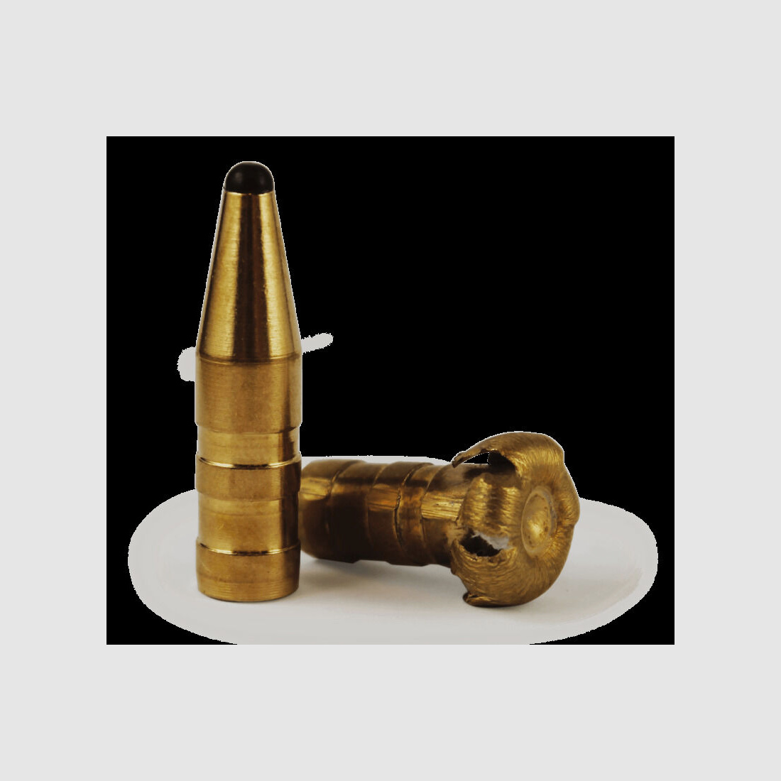 Fox Bullets Geschosse 45grs. à50