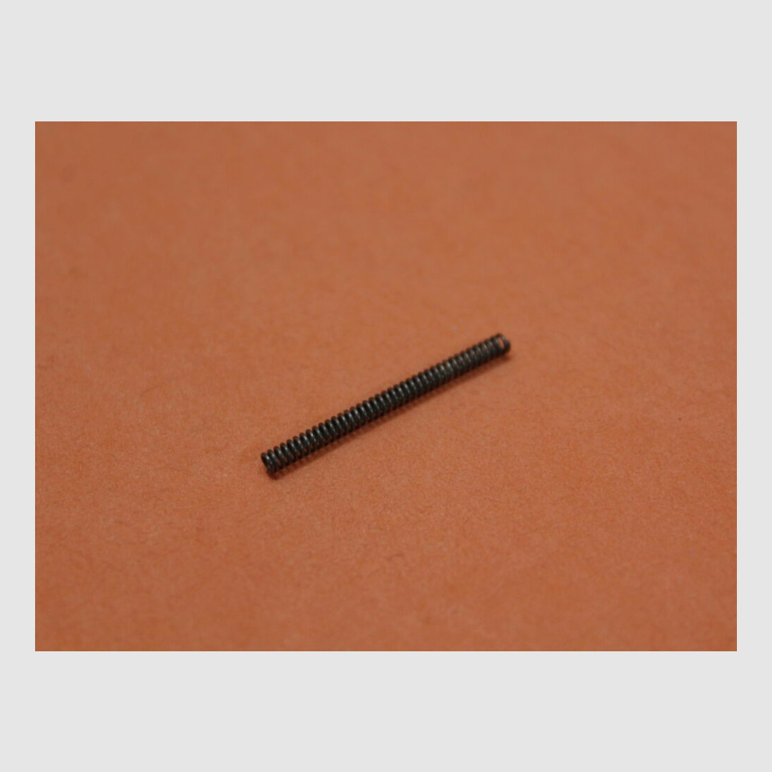 DPMS AR-15: Takedown and Pivot Pin Detent Spring DPMS Feder für Zerlege- und Haltebolzen