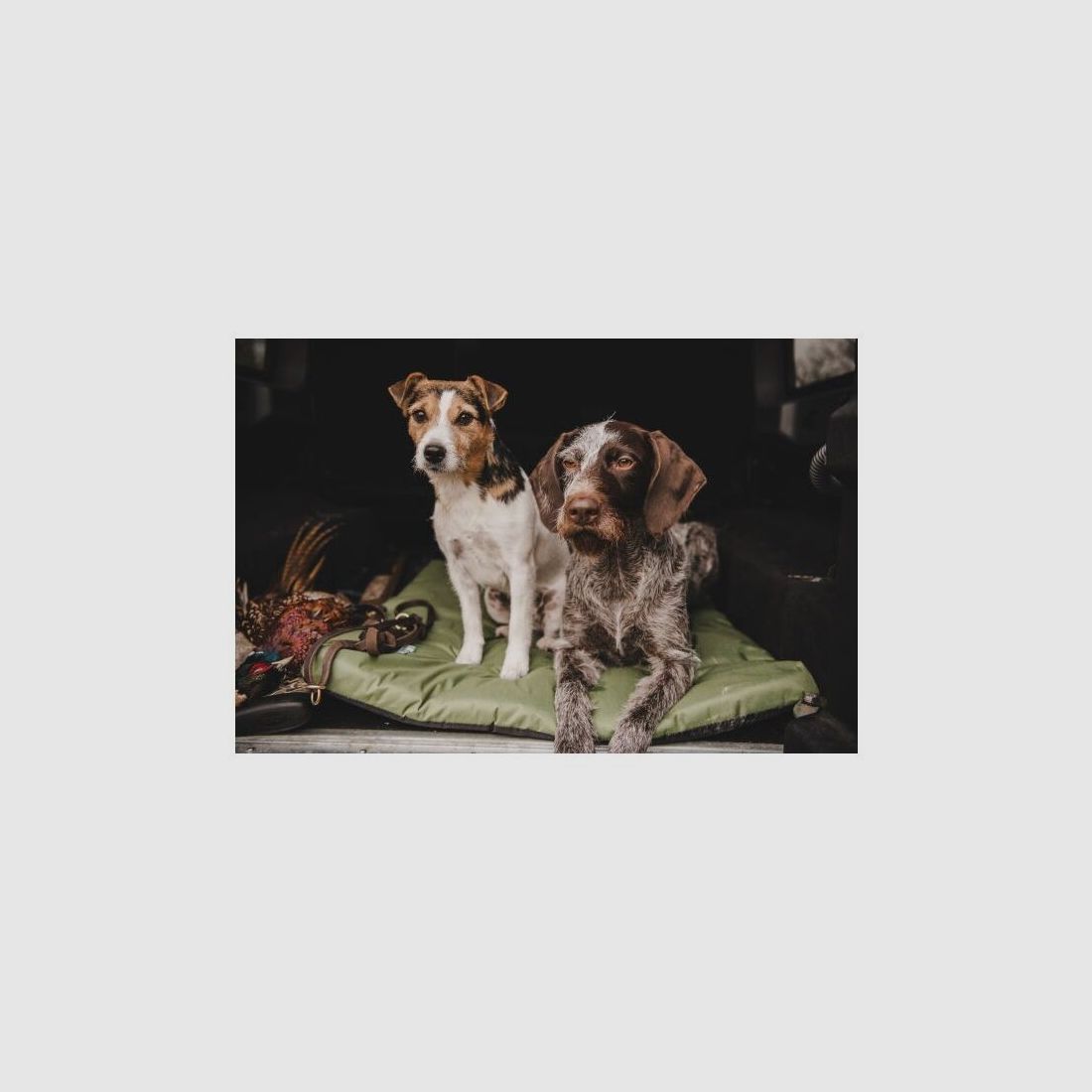 ALT_Farm-Land Hundematte Profi Oliv