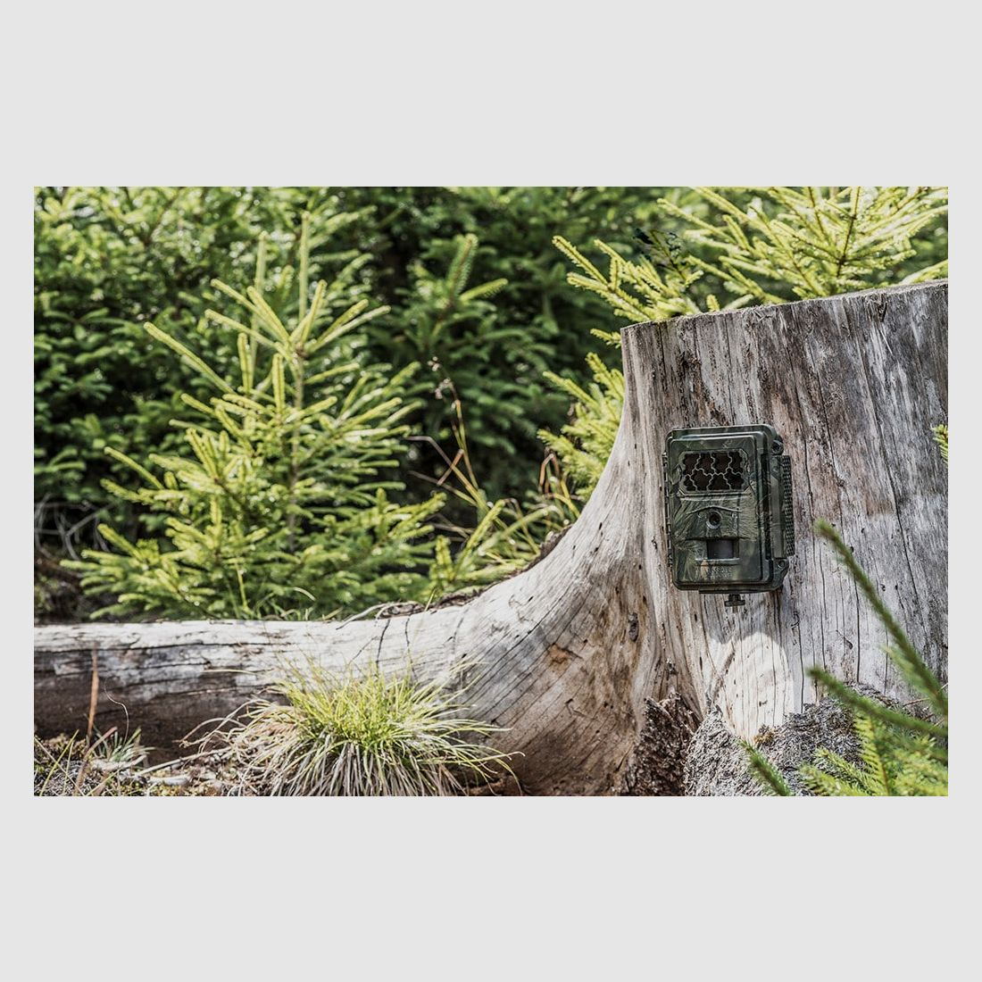 SEISSIGER Special-Cam CLASSIC