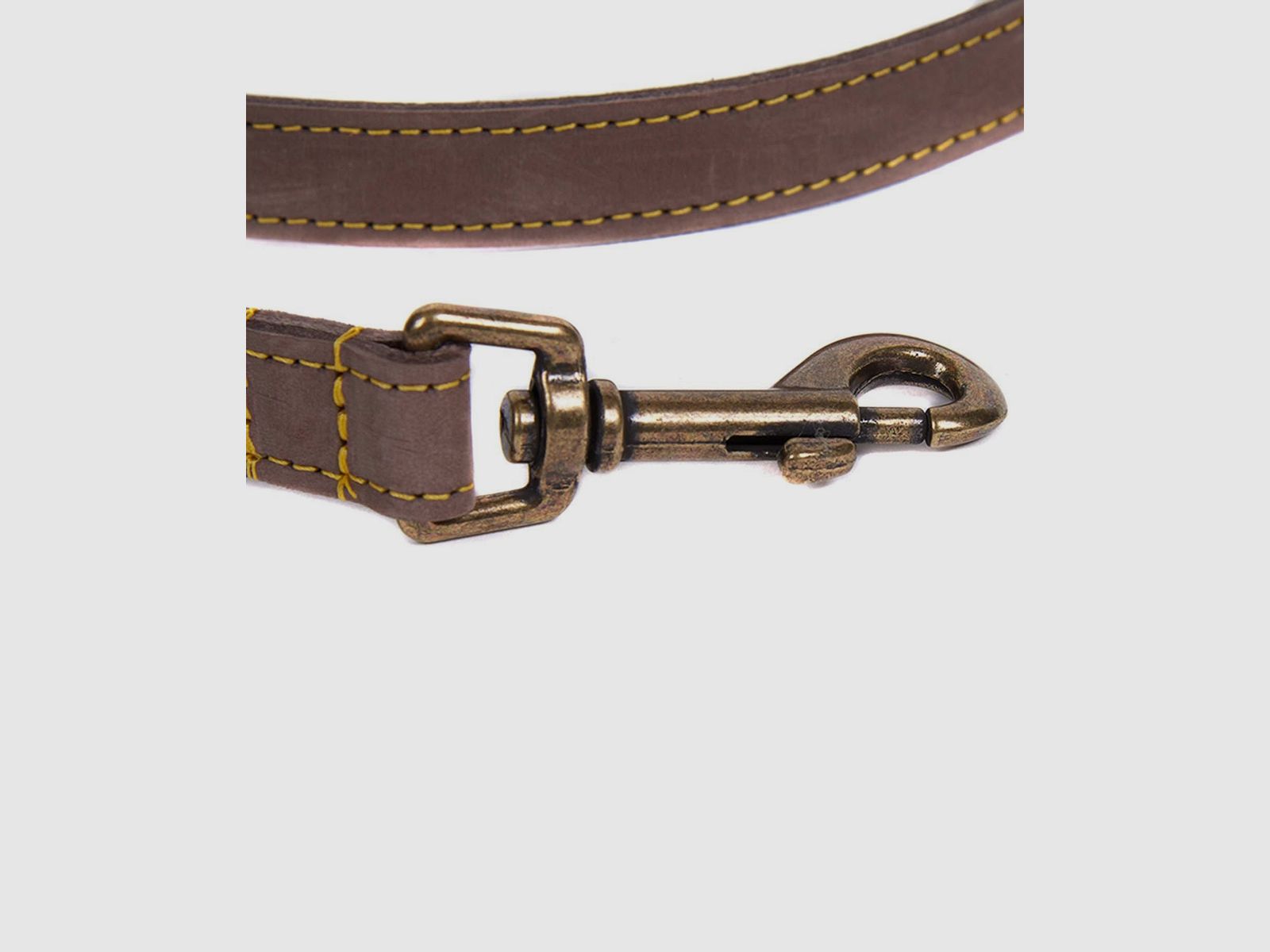 Correa para perro Barbour de cuero