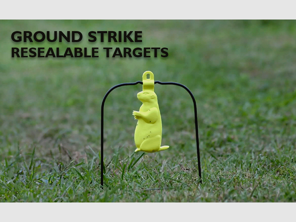 Birchwood Ziel Ground Strike Praire Target, Bild 2 von 2