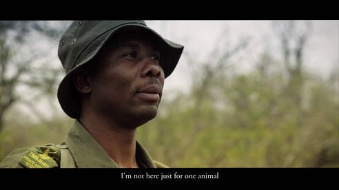 Heart of a Ranger - Rhino Conservation