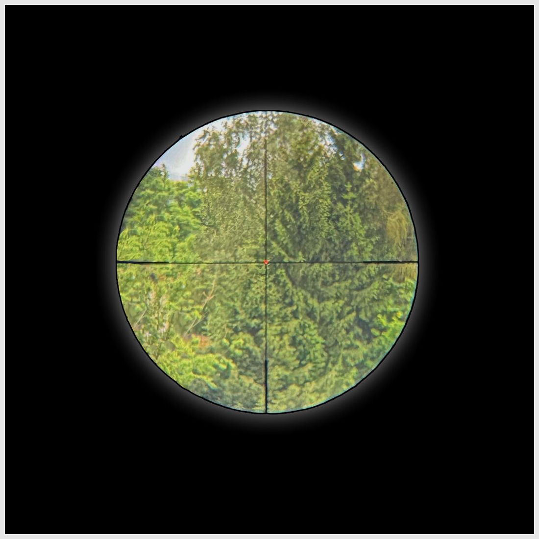 Professor Optiken Staffelsee 1-8x24 LD V2 Leuchtfaser-Absehen 4