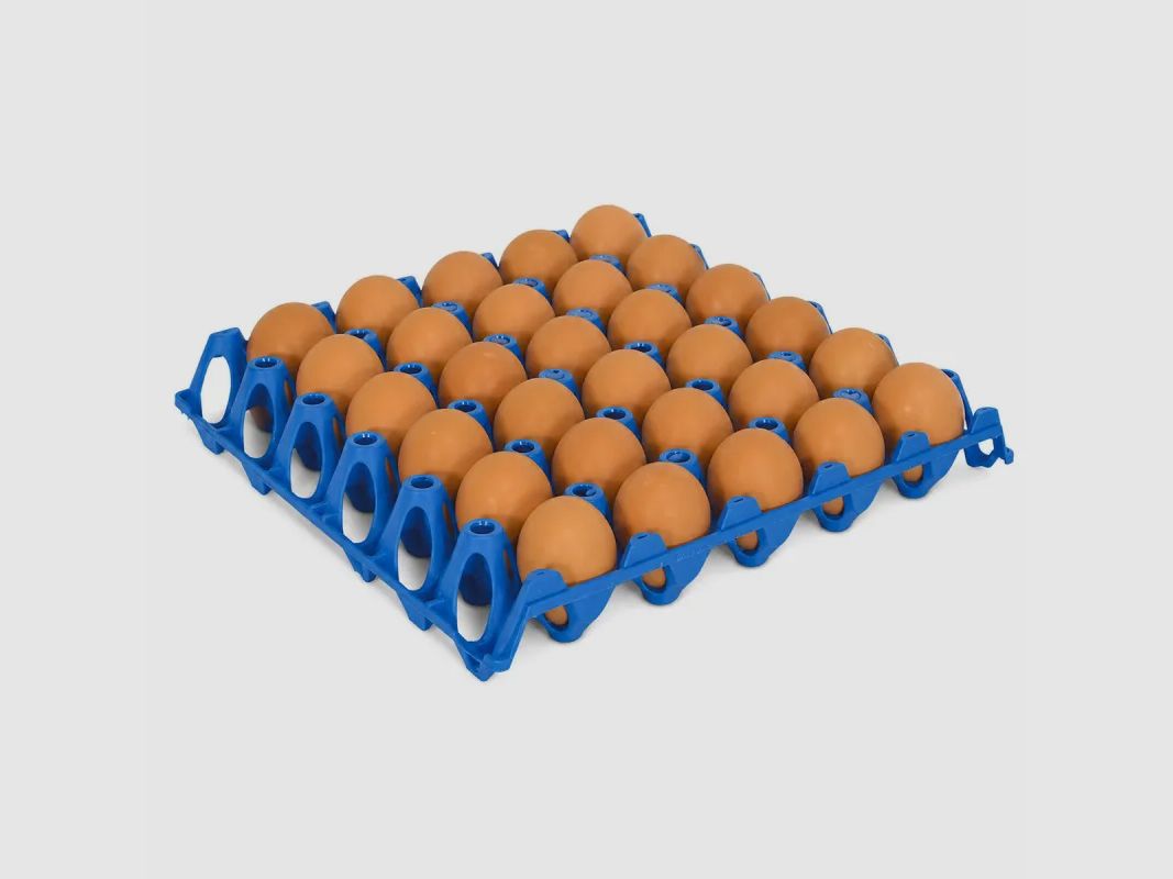 Juego de 10 bandejas apilables para huevos de plástico apto para alimentos 30 × 30 cm, imagen 3 de 6