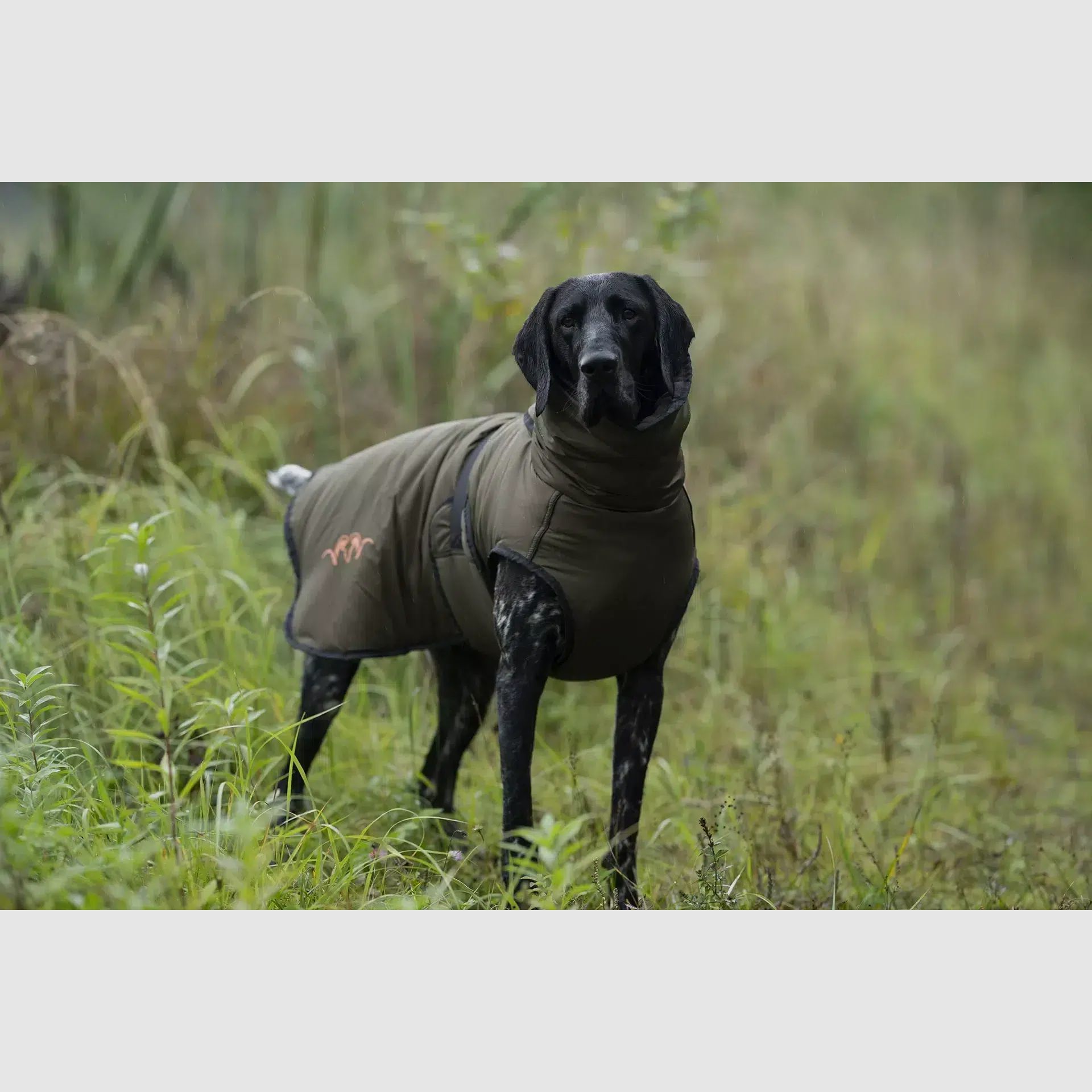 Blaser Hundeponcho dunkel oliv