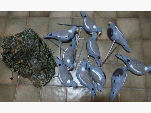 10 decoy pigeons + camouflage net