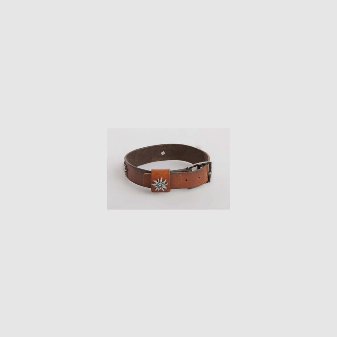 Collar para perro, cinturón original del ejército suizo (nuevo) con adornos de Edelweiss, imagen 3 de 5