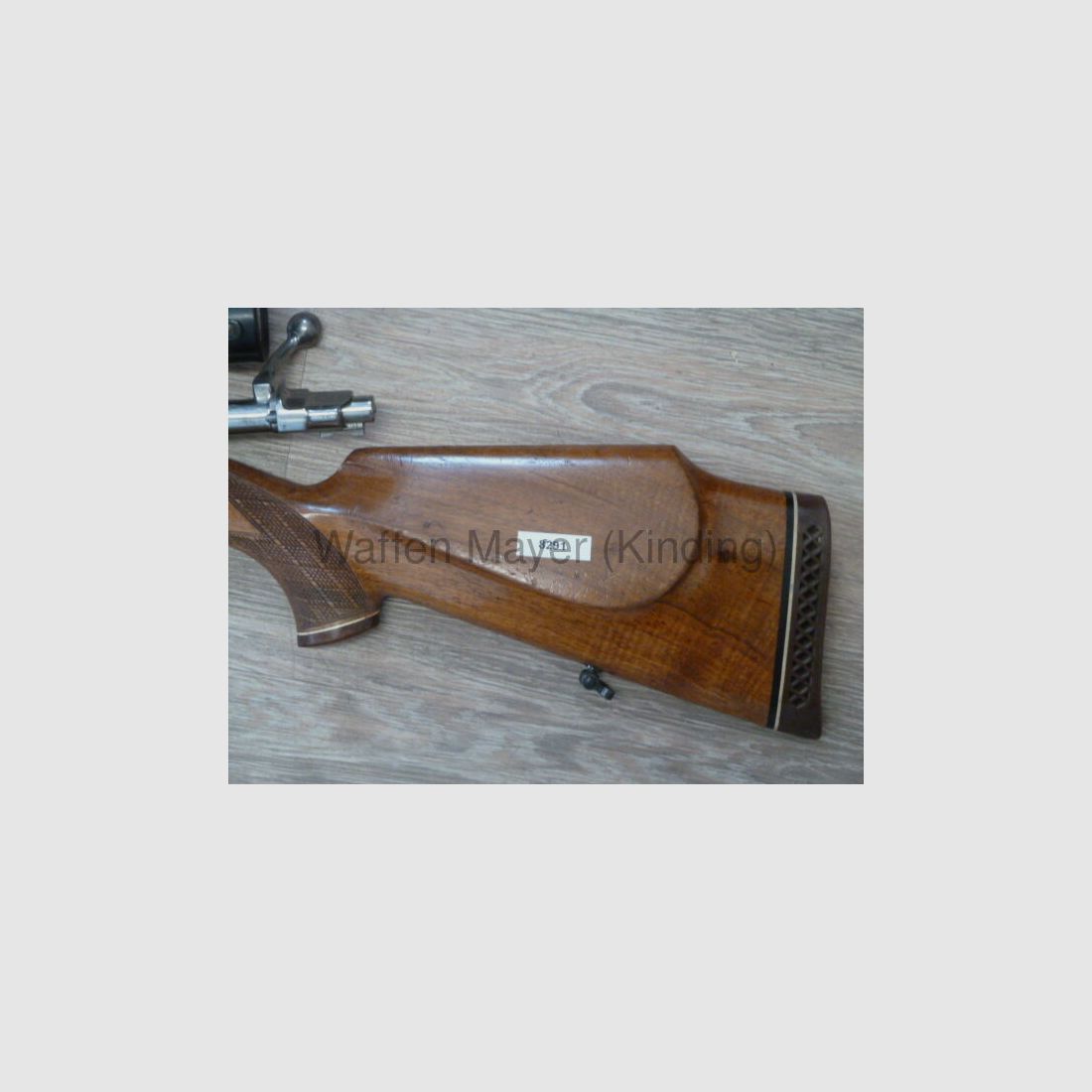 Brigand de la forêt