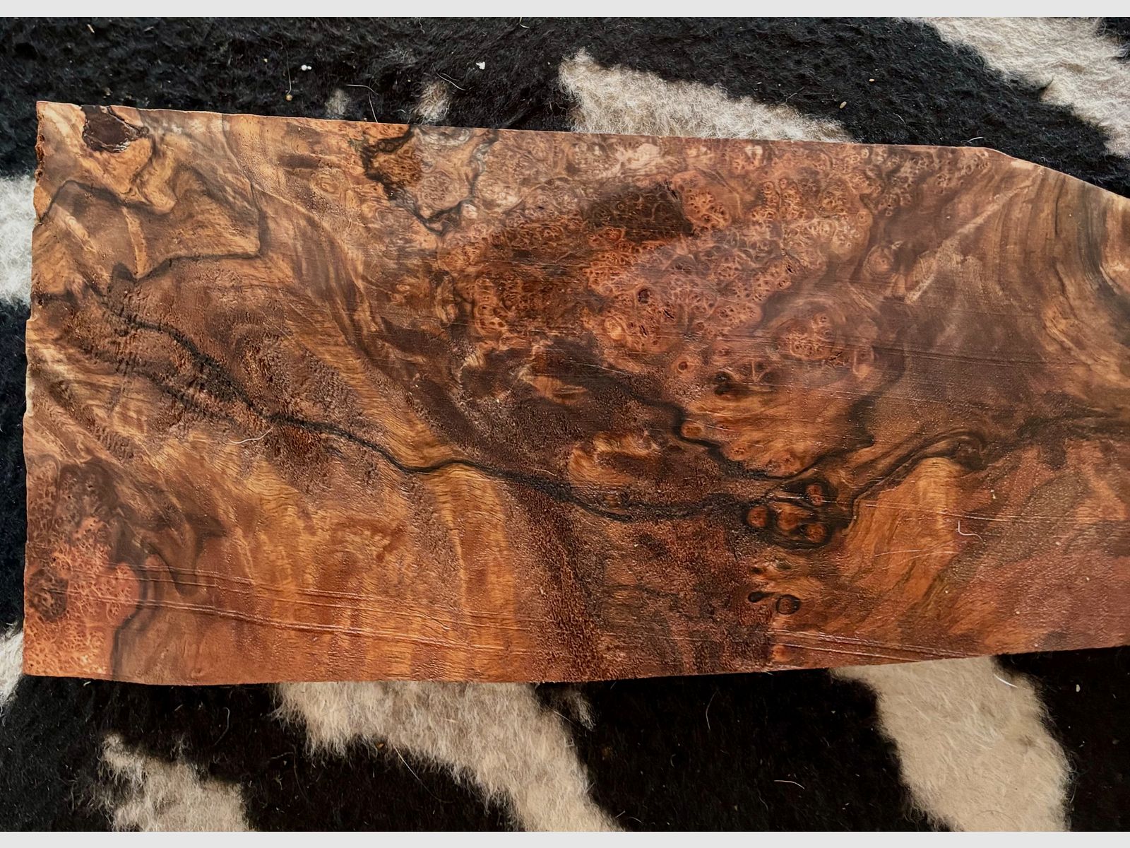 stock wood super luxury for rear & fore stock, image 5 of 12