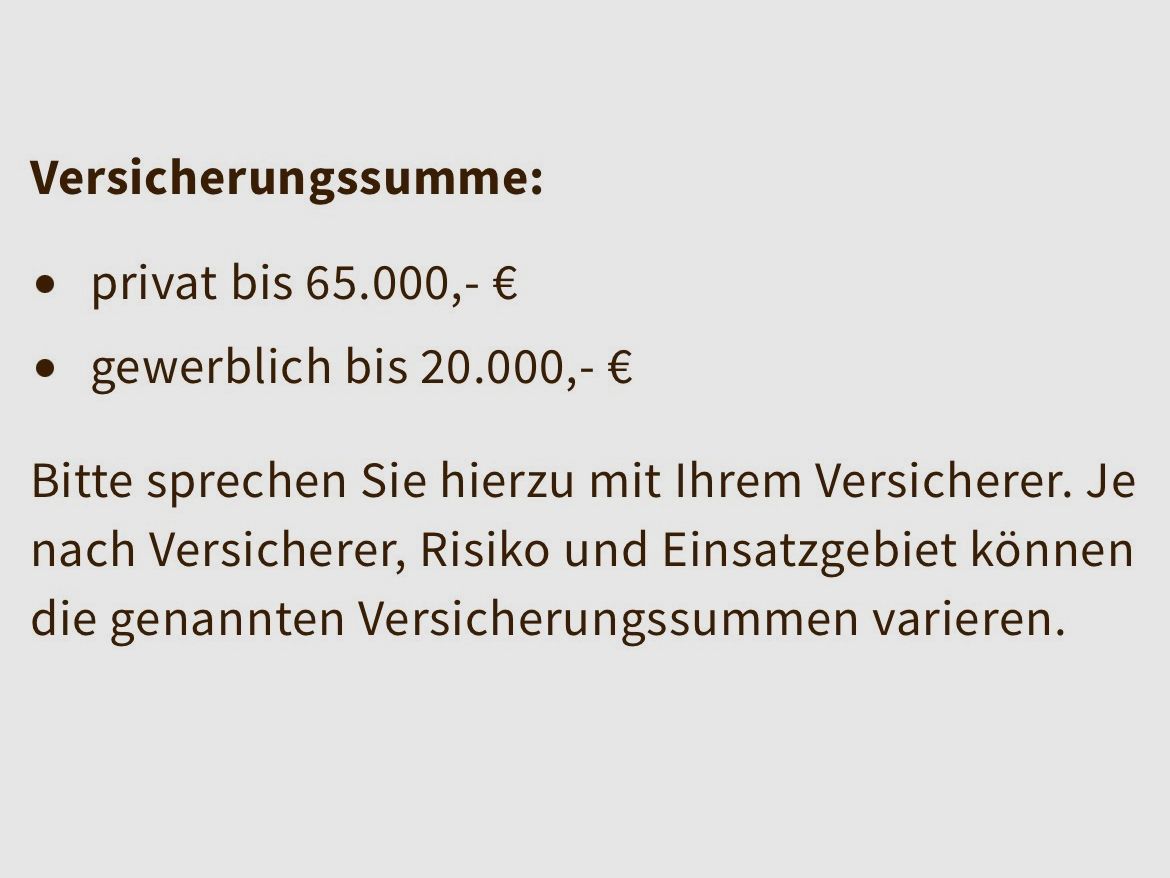 Armoire à pistolets Armoire à armes Classe 1